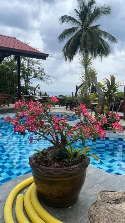 Sairee View Resort – Photos 6